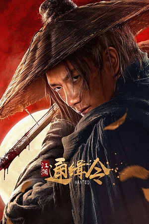 Download Wanted (2025) WEB-DL Dual Audio {Hindi-Chinese} 480p [400MB] | 720p [750MB] | 1080p [1.5GB] poster