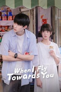 Download When I Fly Towards You (Season 1) Dual Audio {Hindi-Chinese} C- Series 480p 720p & 1080p WEB-DL poster