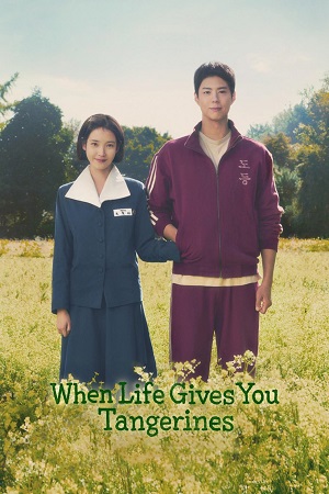 Download When Life Gives You Tangerines (2025) Season 1 Multi Audio {Hindi-English-Korean} NetFlix Series 480p | 720p | 1080p WEB-DL poster