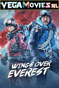 Download Wings Over Everest (2019) Dual Audio {Hindi-English} 480p [350MB] | 720p [1GB] | 1080p [2GB] poster