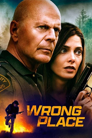 Download Wrong Place (2022) BluRay Dual Audio {Hindi-English} 480p [360MB] | 720p [950MB] | 1080p [2.2GB] poster