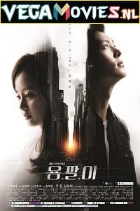 Download Yong Pal (2015) Season 1 Hindi Dubbed Complete [Korean Series] 720p HEVC [250MB] WEB-DL poster