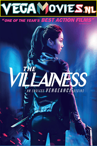 Download The Villainess (2017) Dual Audio {Hindi-Korean} 480p [450MB] | 720p [1GB] | 1080p [2GB] poster