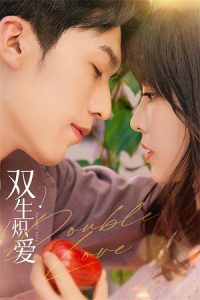 Download Double Love (Season 1) Dual Audio {Hindi-Chinese} C-Drama Series 480p 720p & 1080p WEB-DL poster