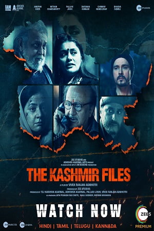 Download The Kashmir Files (2022) WEB-DL Hindi Full Movie 480p [400MB] | 720p [1.1GB] | 1080p [2.3GB] poster