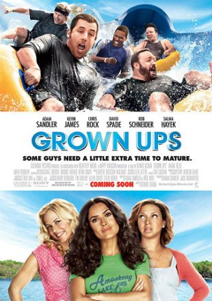 Download Grown Ups (2010) Dual Audio Hindi 480p [400MB] | 720p [800MB] poster