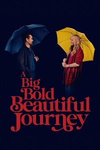 Download A Big Bold Beautiful Journey (2025) Dual Audio {Hindi-English} Web-DL 480p [450MB] | 720p [1.2GB] | 1080p [2GB] poster