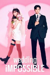 Download Wedding Impossible (Season 1) Dual Audio {Hindi-Korean} Series 480p 720p & 1080p WEB-DL poster