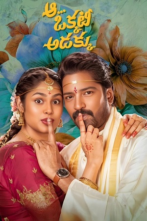 Download Aa Okkati Adakku (2024) Dual Audio [Hindi + Telugu] WeB-DL 480p [400MB] | 720p [1.4GB] | 1080p [2.7GB]